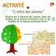 Schoolpack Printemps 30 arbres + 1904 gommettes feuilles d'arbres + 2 flacons de peinture acrylique