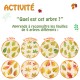 Schoolpack Printemps 30 arbres + 1904 gommettes feuilles d'arbres + 2 flacons de peinture acrylique